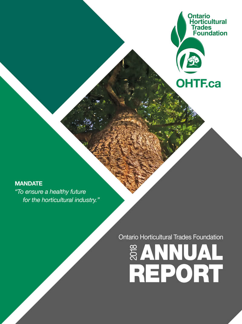 2018 foundation report cover