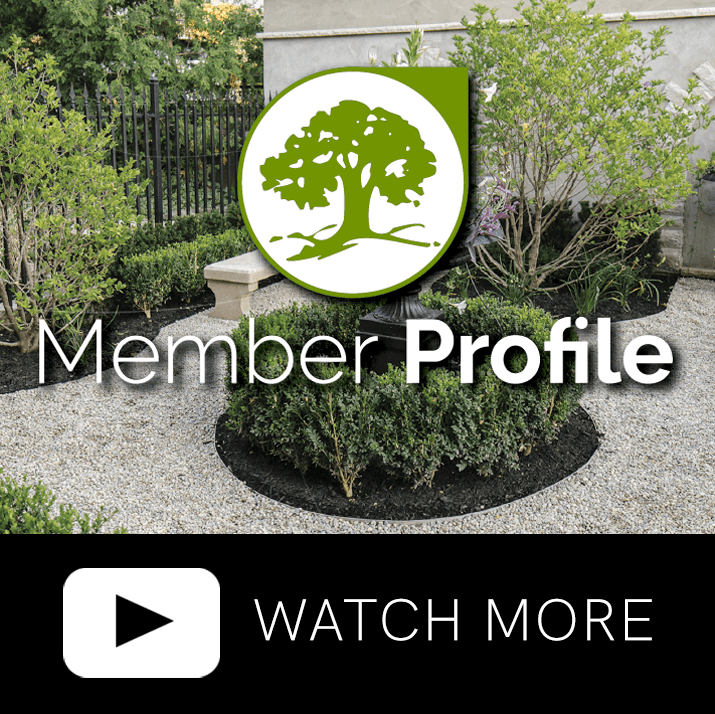 member profile. watch video online